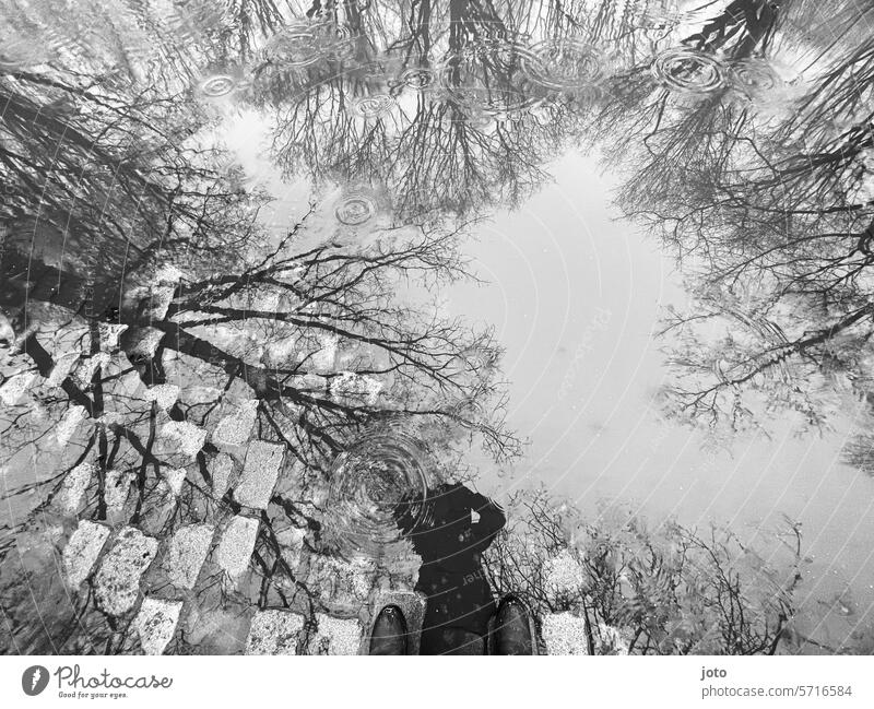 Man reflected in a puddle with trees Tree silhouettes Silhouette reflection Puddle puddle mirroring Fog cloudy Misty atmosphere Dreary cloudy weather Gloomy