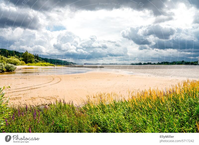 Landscape on the Rissener Ufer near Hamburg Elbe bank Nature Dramatic Thunder and lightning Clouds Beach Water Sky River Exterior shot Colour photo Deserted
