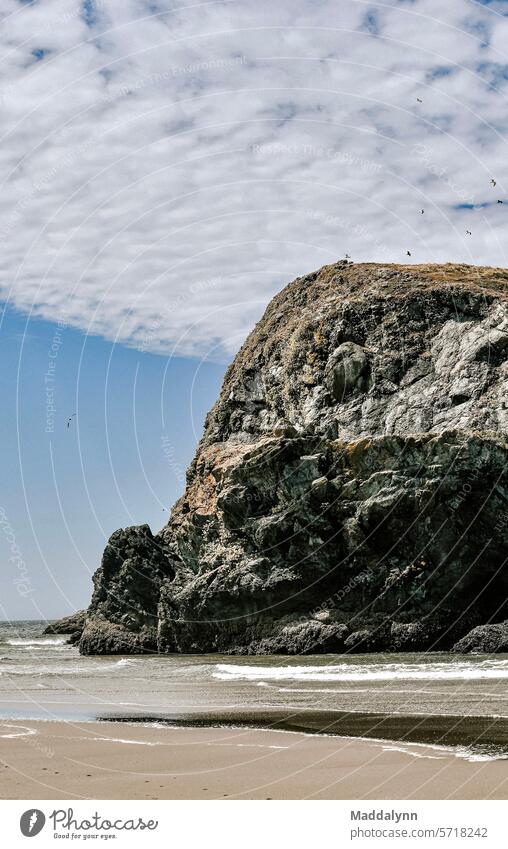 A giant Rock on the Oregon Coast nature ocean Nature Ocean Water Vacation & Travel Sky Island Landscape Horizon Travel photography Pacific Ocean Clouds Sea
