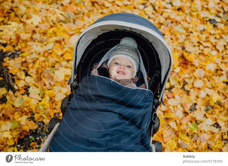 Baby in a stroller with fall leaves in the background Toddler Child Baby carriage Autumn Infancy Family infant Parents autumn leaves Yellow youthful mama