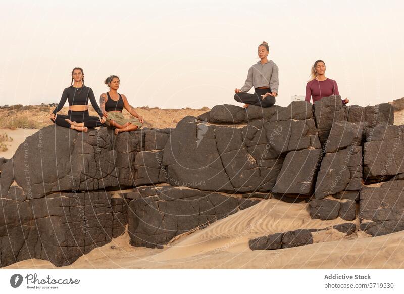 Yoga female Practitioners Meditating on Beach Rocks yoga meditation lotus pose padmasana beach mindfulness class rocks rugged hazy women practitioners outdoors