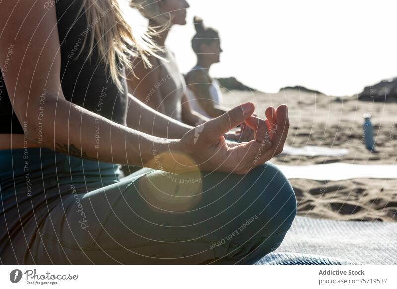 Yoga practitioners meditating on the beach at sunset yoga class meditation individual tranquility background posture pose exercise health wellness relaxation