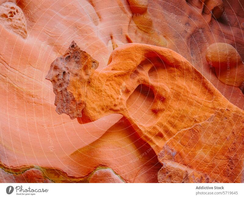 Eroded orange cliffs of Jaizkibel in Gipuzkoa, Spain jaizkibel gipuzkoa spain vibrant natural erosion pattern texture coast mount jaizkibel pasaia hondarribia