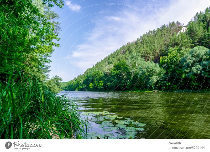 river and green forest on a mountain without people Ukraine background blue calm camping climate clouds coniferous day ecology environment fishing fresh grass