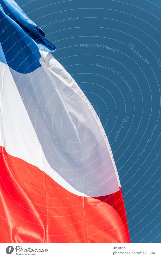 flag France Flag Politics and state Cloudless sky Blow Blue White Red Judder Wind Tricolor Freedom Close-up