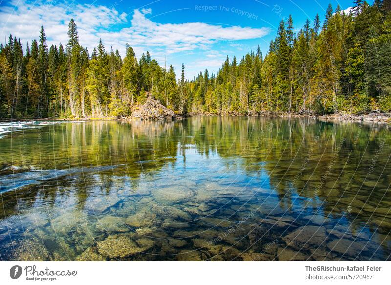 Clear lake where you can see the stones clear water Water Lake Forest forests Nature Landscape Exterior shot Vacation & Travel Mountain Summer Colour photo