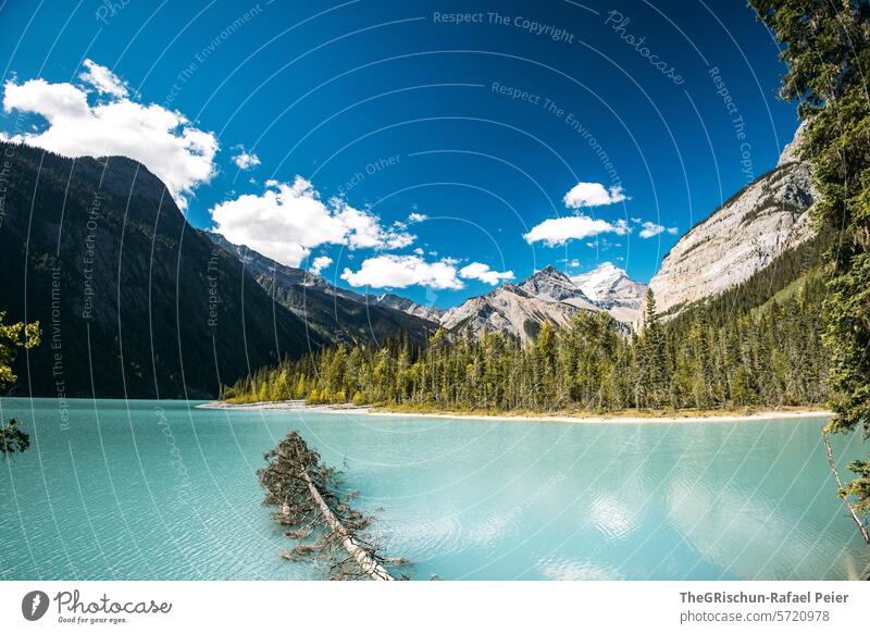 Sky and mountains are reflected in the turquoise lake Lake kinney lake Vantage point Water Colour photo reflection mountain panorama Mountain Nature Landscape