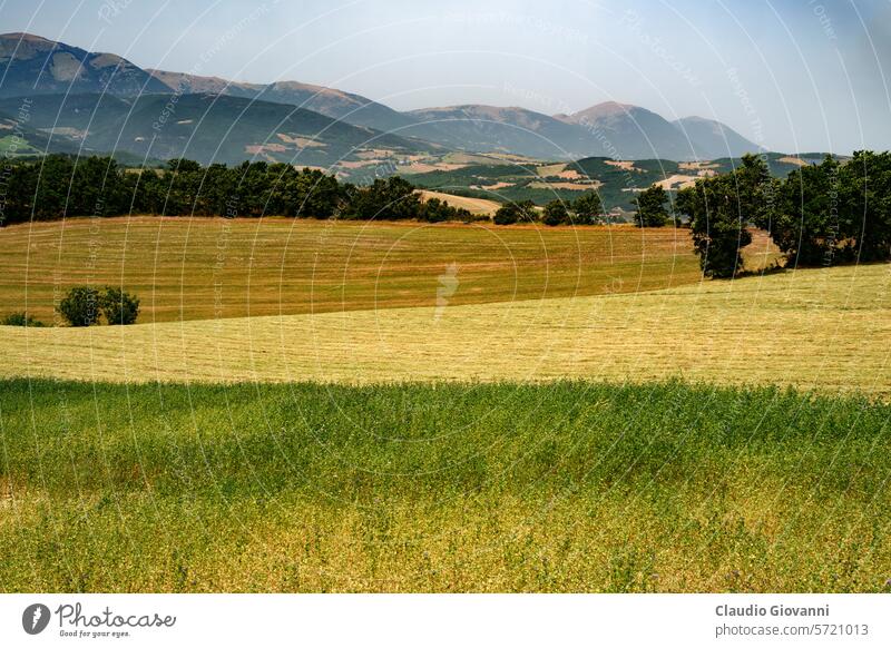 Rural landscape near Fiastra, Marche, Italy, at summer Europe Macerata color country day field green hill nature photography plant rural travel tree