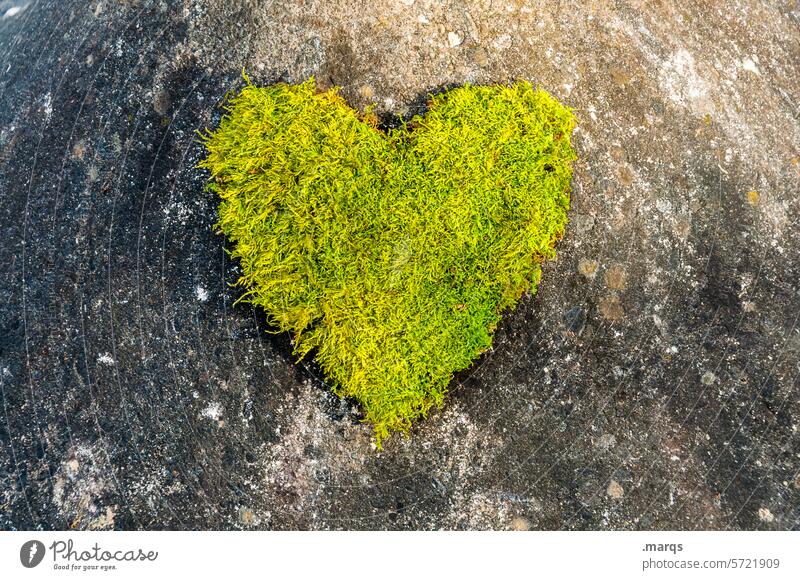 Close to nature Love Green Growth Heart Moss Plant Nature Exceptional Organic produce Infatuation Ease Soft Healthy Fresh Esthetic Stone Romance Emotions
