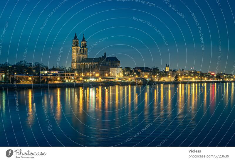 Magdeburg by night II Elbe Night Twilight clearer Gothic cathedral Landmark Magdeburg Cathedral Blue reflection
