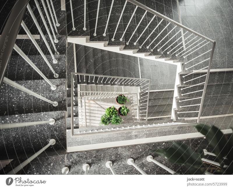 Light room of a staircase with potted plants Stairs Architecture rail Staircase (Hallway) Banister Landing staircase eye Pot plant Shadow Bird's-eye view Marble