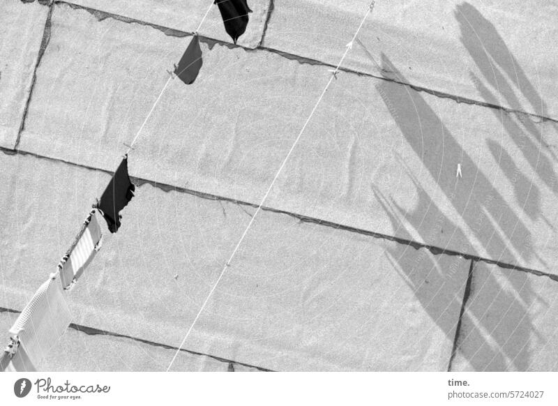 washing day Laundry clothesline Washing day Dry Roof Bitumen roof Bituminous sheeting sunny Shadow Bird's-eye view Living or residing Photos of everyday life
