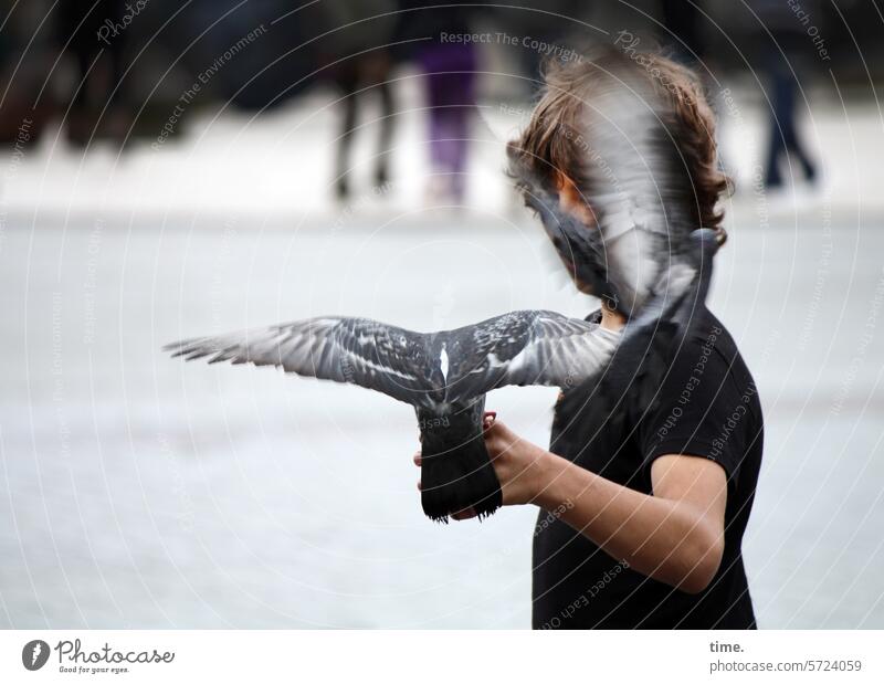 Boy with pigeons birds Boy (child) Birdseed stop lure Feeding Judder Long-haired Places urban city fond of animals blurriness Movement Dynamics