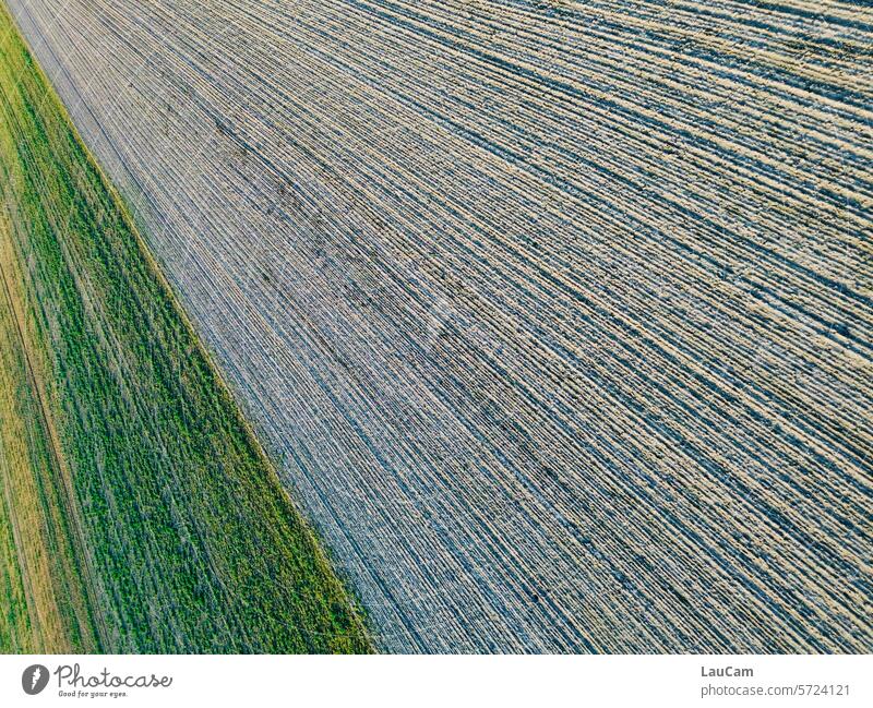 Inclined descent towards the field acre Field Landscape Agriculture lines obliquely Pattern Nature Green Brown Arable land Rural Harvest agriculturally