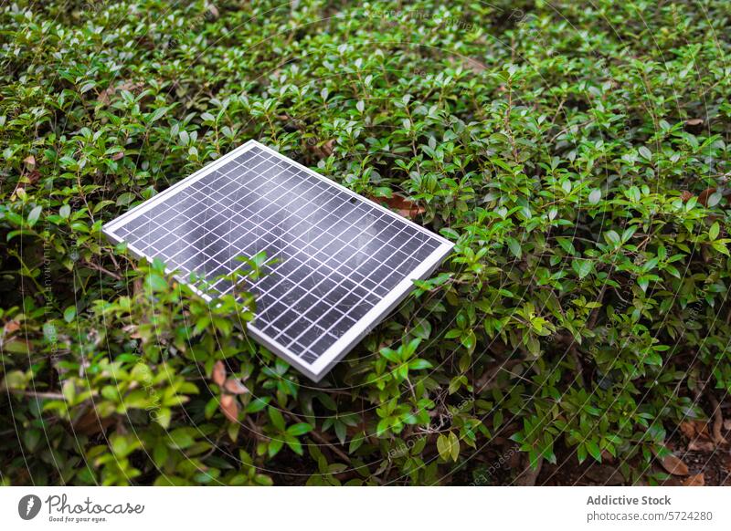 Solar panel on lush green foliage solar eco-friendly energy nature integration leaves dense bed sustainable technology power renewable environment leafy ground