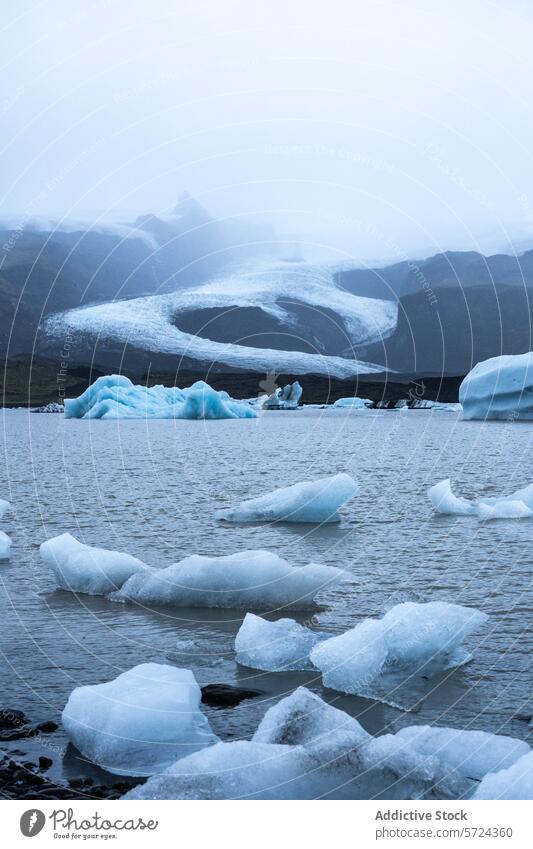 Moody ambiance with icebergs floating in a glacial lagoon, backed by the majestic glacier of Vatnajökull National Park in Iceland national park water moody