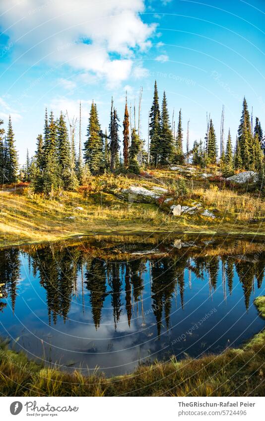 Forest reflected in a small lake Mountain Canada Tourism hike Sky Landscape Hiking Nature Summer sunny Moody Clouds Lake Exterior shot Water Vacation & Travel