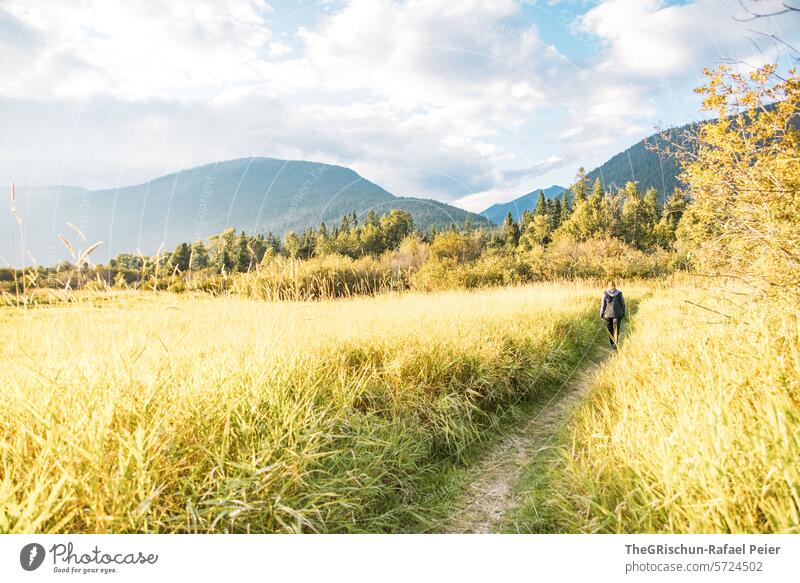 Woman walking in tall grass, grass shines golden because the evening sun shines on the grass Grass Walking Evening sun Lanes & trails Mountain Light sunny