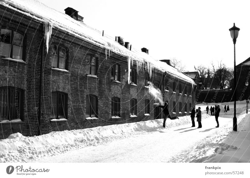 Oslo Icicles Winter icicles snow Black & white photo cold snowball