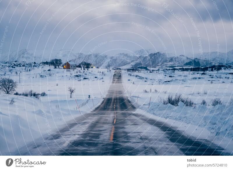 Lonely road in winter Street Ice iced Snow blow snow Peak Snowscape Direct Horizon Loneliness Sky Norway Scandinavia Mountain Winter chill Twilight Evening Dusk