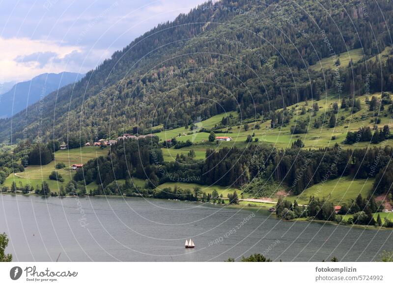 Alpsee landscape with sailing boat alpine lake Lake Forest Landscape mountain Slope Nature Mountain Vacation & Travel Tourism Valley Green Sailboat Sailing ship