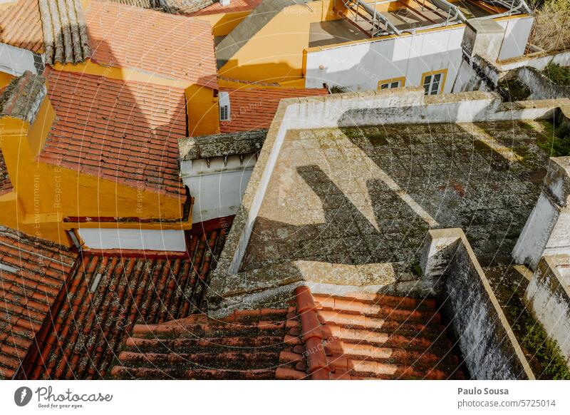 Roof tiles rooftop Roofing tile Architecture House (Residential Structure) Historic Manmade structures Old town Deserted Pattern Exterior shot Window Town Red