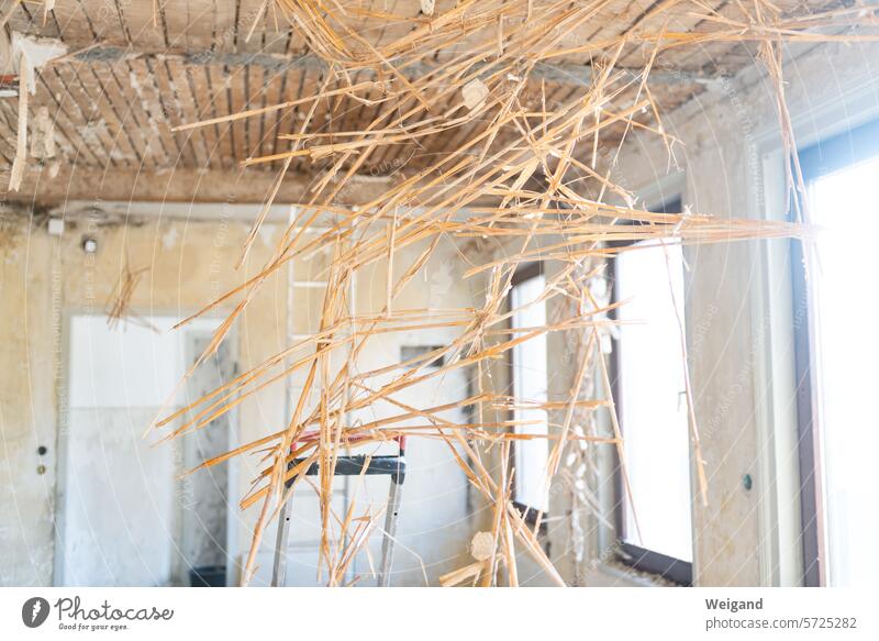 Construction site Living room with bare walls and wooden ceiling, from which the straw insulation stretches like an abstract net work of art from top to bottom through the picture