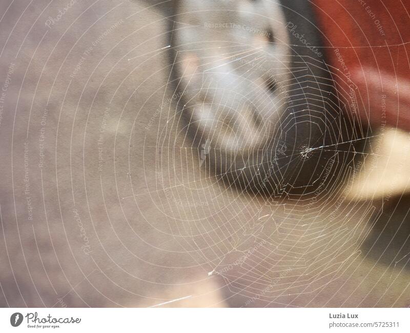 A spider's web, in front of a car that has been parked for a long time Sunlight Detail Spider's web spinning threads Net levitating Hang Gossamer Red