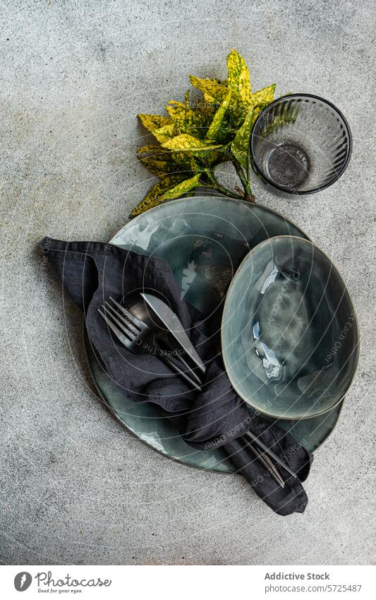 Elegant table setting in top view with ceramic dishes from above plate dinner cutlery fork knife textile napkin glass plant leaf bright elegant dinnerware