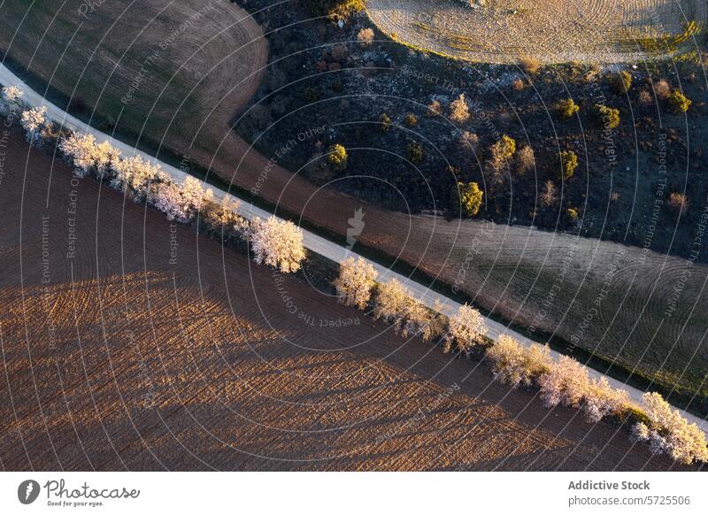 Aerial countryside road with blooming trees at dusk aerial view agricultural field landscape nature rural path travel spring outdoor terrain agriculture