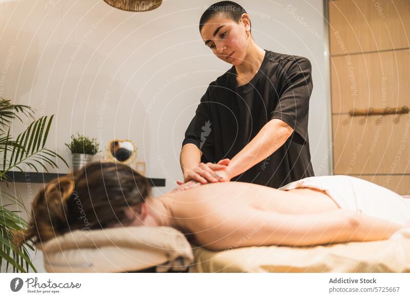 Therapist Giving a Relaxing Back Massage at Spa therapist massage spa back wellness relaxation client health therapy treatment care calming skilled peaceful