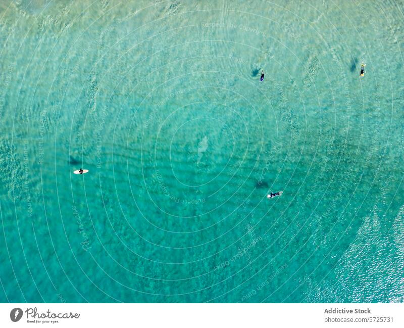 An aerial perspective captures surfers on their boards, scattered across the shallow, crystal-clear turquoise waters near the shore ocean sea wave texture