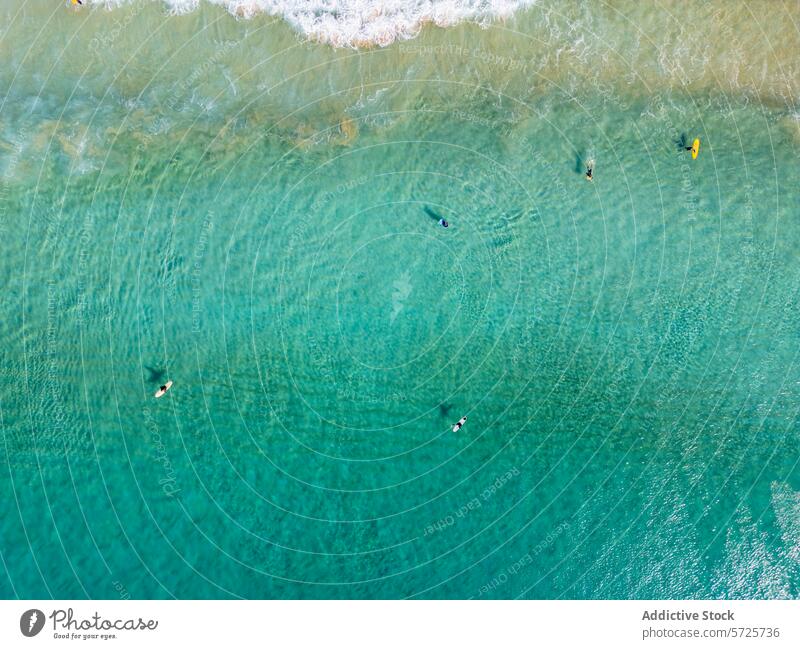 An aerial shot capturing the tranquil scene of surfers floating on crystal clear turquoise waters with gentle waves approaching the shore ocean sea shallow blue