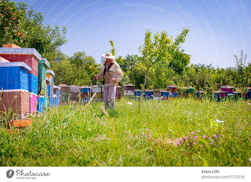Farmer, apiarist in protective clothing mows a lawn in his apiary with petrol lawn trimmer Apiarist Apiary Apple Arranged Bee Beehive Beekeeper Blade Botanic
