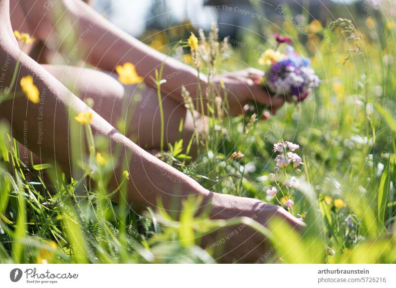 Young woman picking meadow flowers in her own garden in the sun meadows Meadow flower meadow plants meadow herbs Flower blossom flowering flower