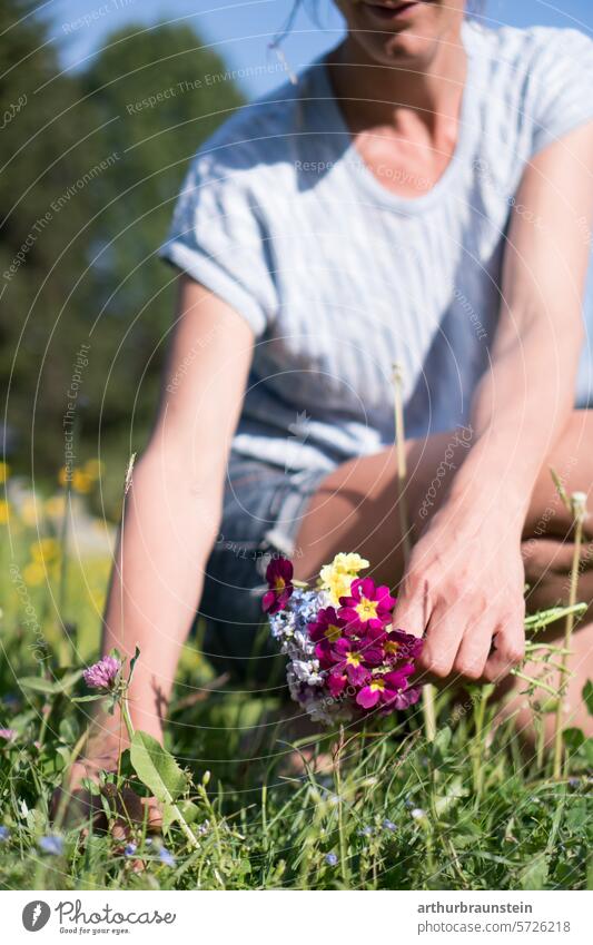 Young woman picked sages flowers red clover in her own garden for cooking with flowers blossoms Eating Nature daylight heyday delicate blossoms natural light