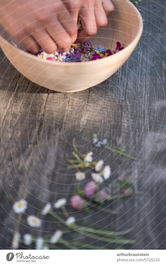 Meadow flowers daisies and red clover freshly picked from the garden on a wooden table blossoms Eating Nature reafood meadow flowers Daisy Red clover Plant