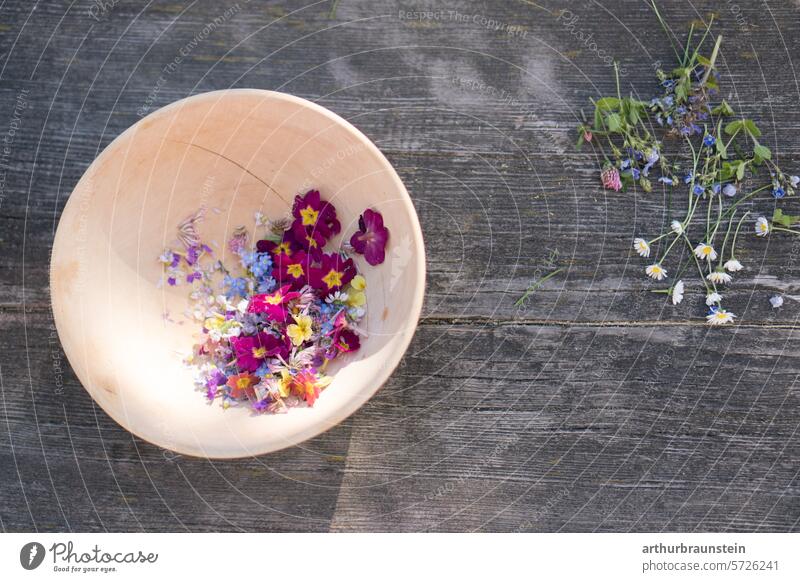 Daisy and red clover flowers in a bowl ready to cook with flowers for vegan dishes blossoms Eating Nature heyday daylight spring flowers Spring petals