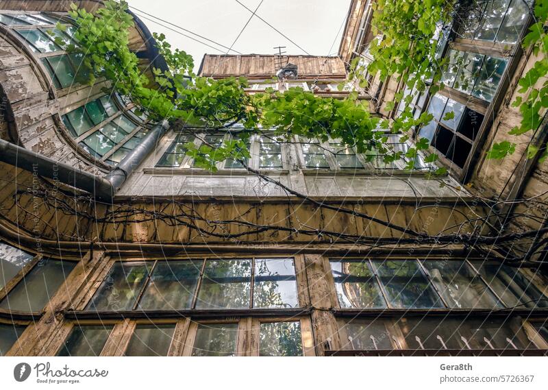 windows of an old tall house in Georgia Caucasus Tbilisi apartments authentic balcony building cable city color crack curve district dormitory glass grapes