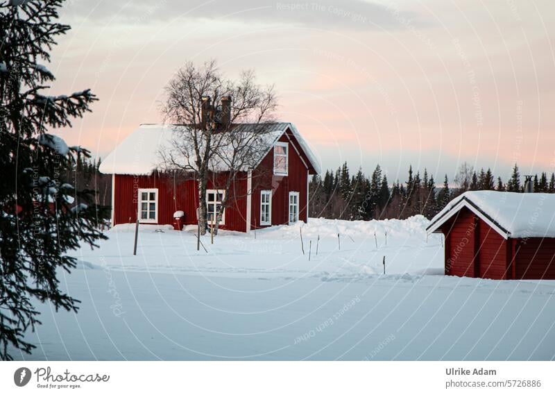 Lapland | Dawn Swede Europe Solberget Wooden house Snow Winter vacation Nature Exterior shot Cold Vacation & Travel Scandinavia Tourism Light idyllically