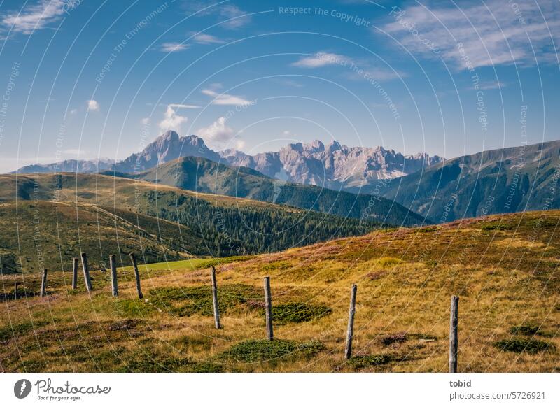 View of the Dolomites far vision Peitlerkofel Mountain Peak curt Meadow Far-off places Horizon Sky Beautiful weather daylight Blue sky Landscape Agriculture