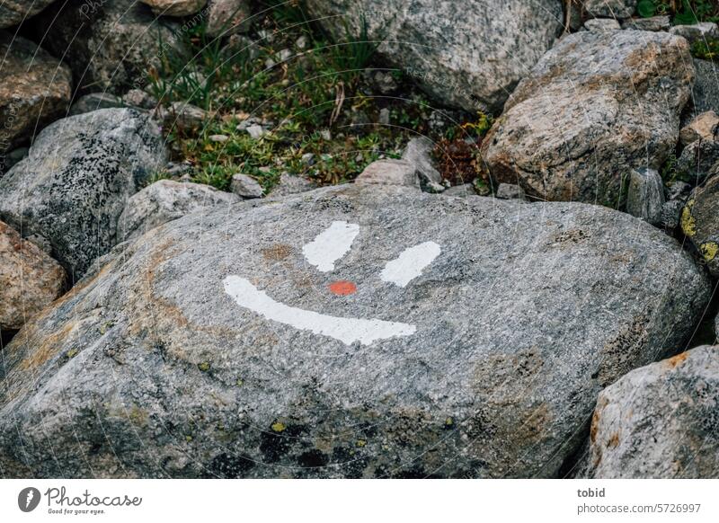 Happy rock Rock Smiley Humor path marking Colour photo Good mood Nature Positive Hiking
