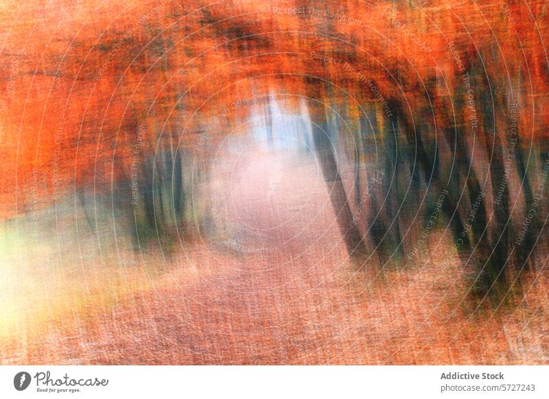 Abstract image capturing a path through a forest with a dynamic brushstroke effect, creating a vivid, textured scene of Cascadeño oaks in fall abstract vibrant