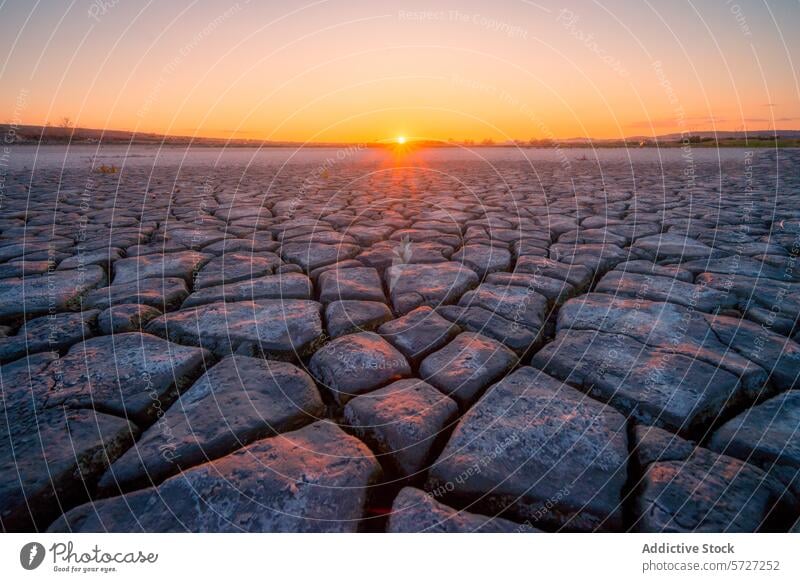 The golden sunset casts a warm glow over a vast landscape of textured mudcracks, symbolizing drought and the beauty of natural patterns cracked earth dry ground