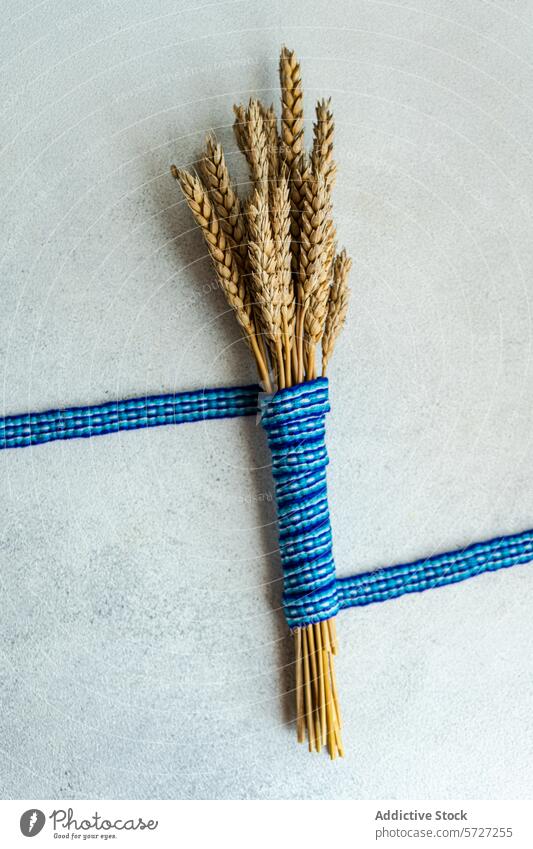 Wheat Ears Bouquet Tied with Blue String on Textured Surface wheat ear bouquet blue string texture background rustic decor simple elegant cereal plant