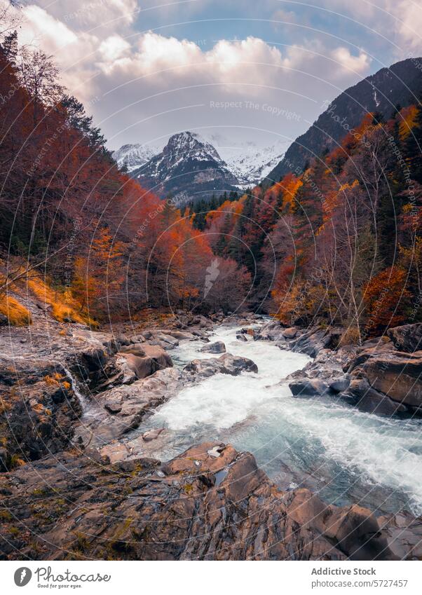 Autumn colors in Bujaruelo Valley, Pyrenees pyrenees ordesa bujaruelo valley autumn river mountain foliage snow-capped landscape nature vibrant colorful scenic