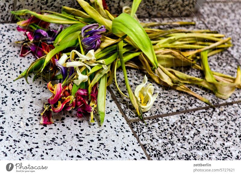Withered flowers Flower Ostrich Bouquet Old Limp withered Blossom Faded Tulip daffodil Stairs sales Landing Lie Doomed Trash Biogradable waste Plant
