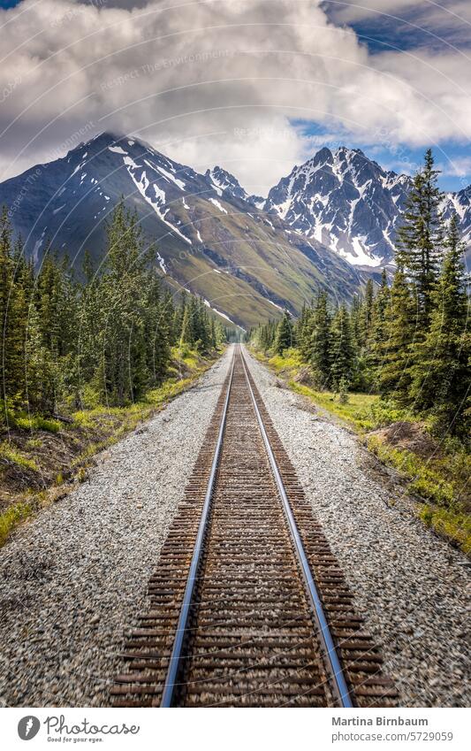 Railroad to Denali National Park, Alaska with impressive mountains alaska national park background beautiful blue brown color denali forest green journey