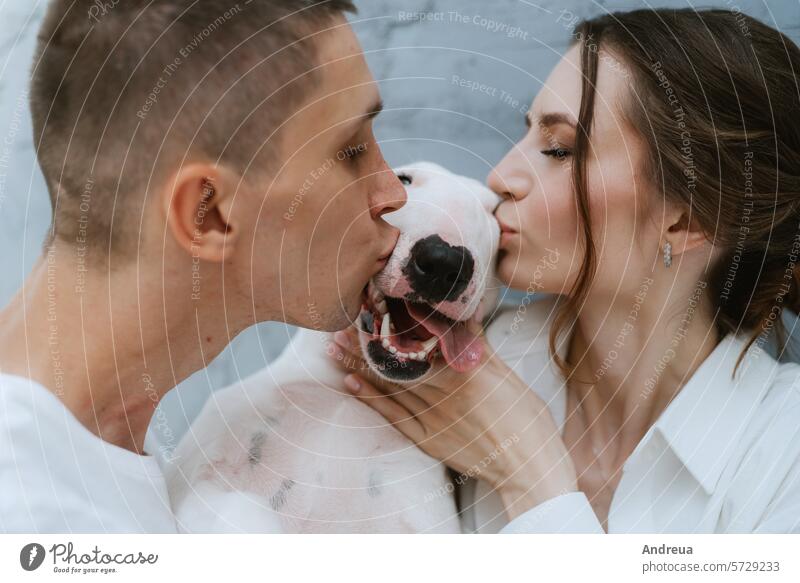 young couple guy and girl in a bright room playing with pet brick brown corner dog ears friend gray grey light man's friend nose pink smooth tail teeth three