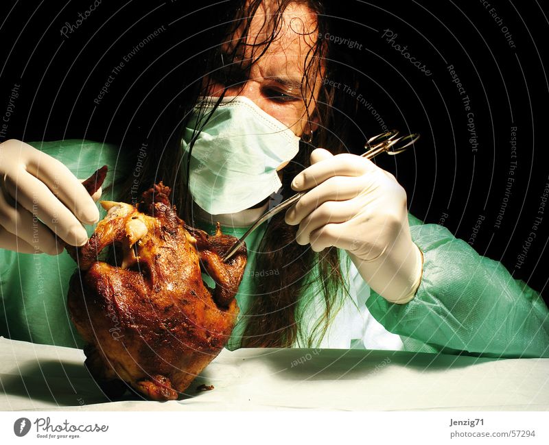 SCEPTIC. Barn fowl Chicken Epidemic Caution bird flu h5n1 Fear sick
